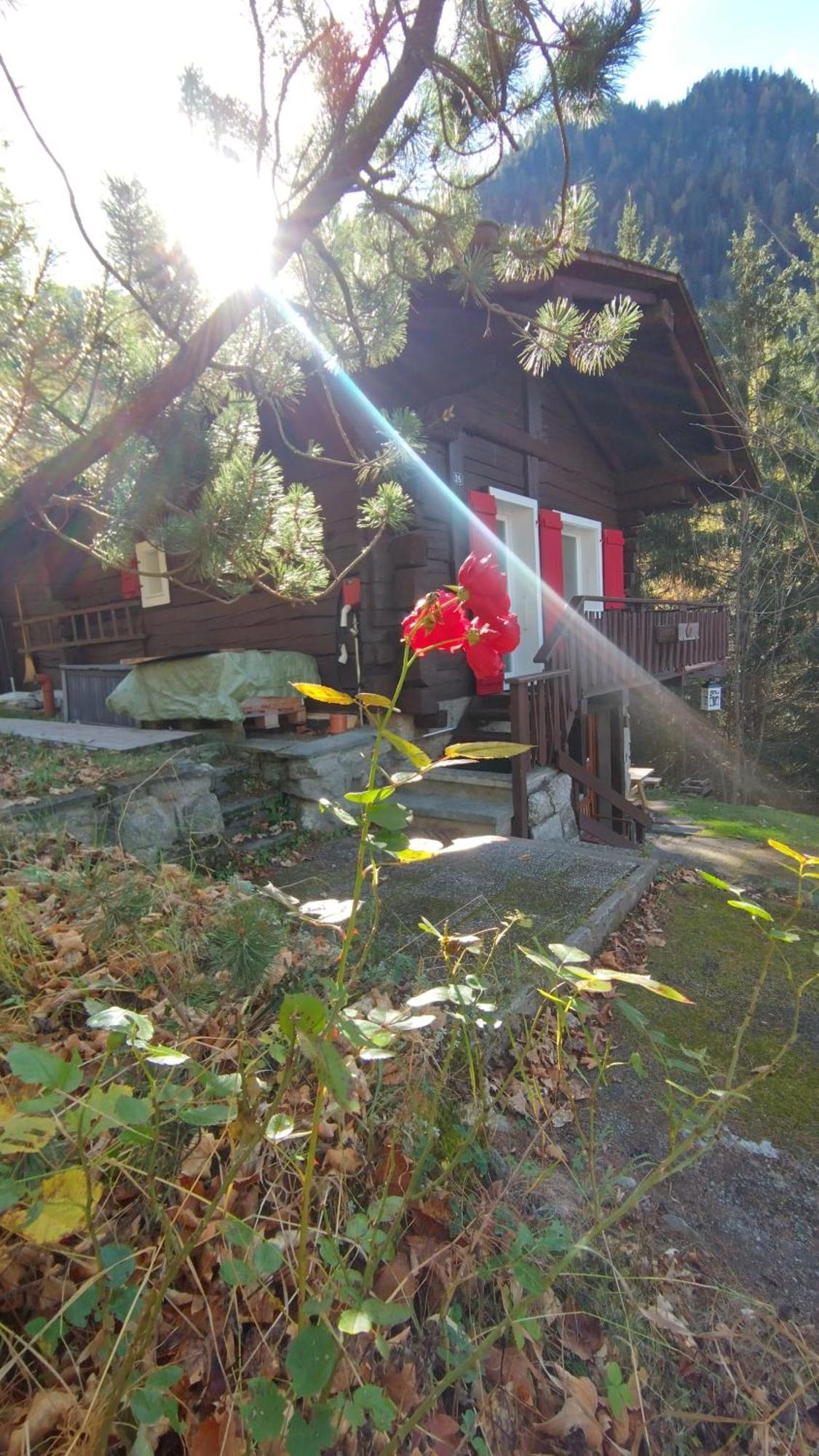 Petit Chalet Rustique Et Bucolique Bovernier المظهر الخارجي الصورة